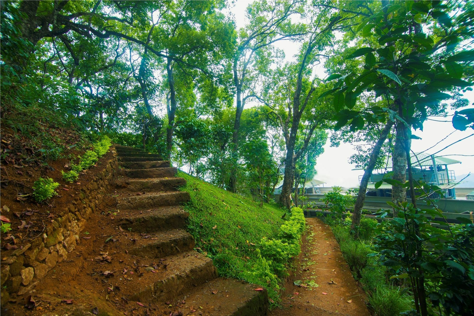 Forest Glade Resorts Chithirapuram Zewnętrze zdjęcie