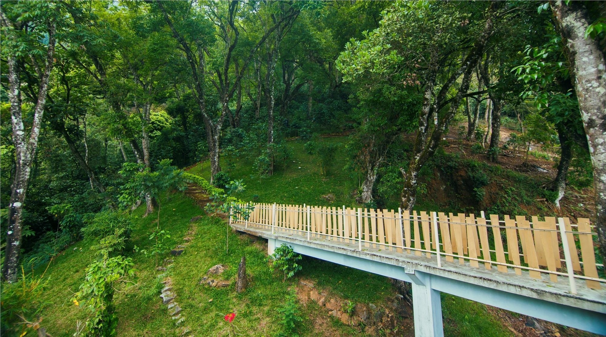 Forest Glade Resorts Chithirapuram Zewnętrze zdjęcie